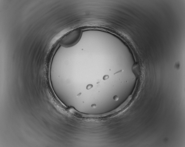 X0000116651114200912291610