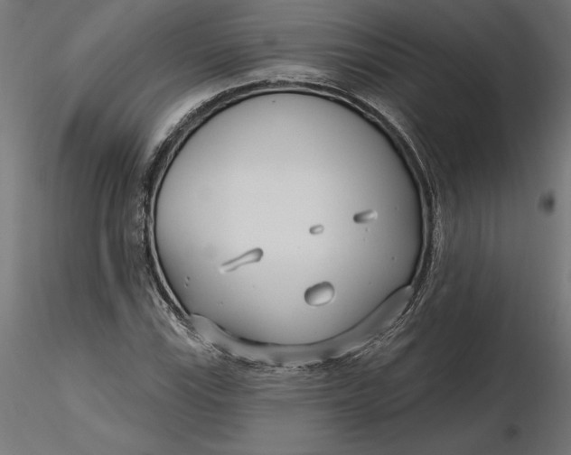 X0000116651115200912291610