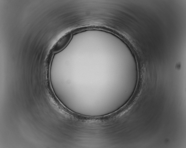 X0000116651118200912291610
