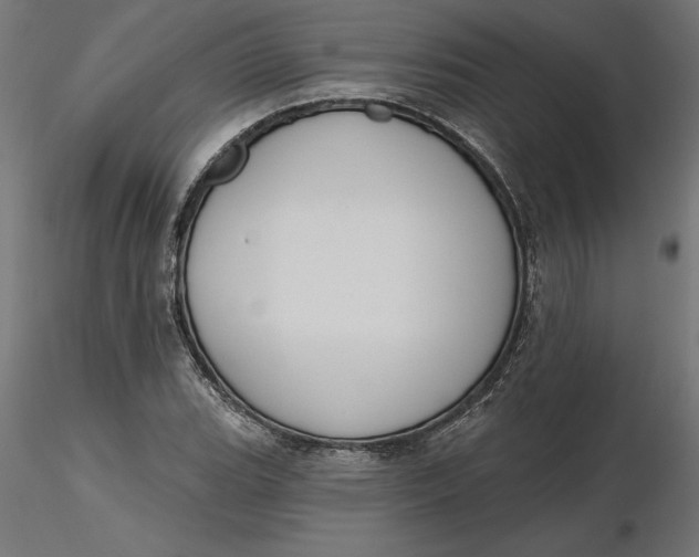 X0000116651119200912291610
