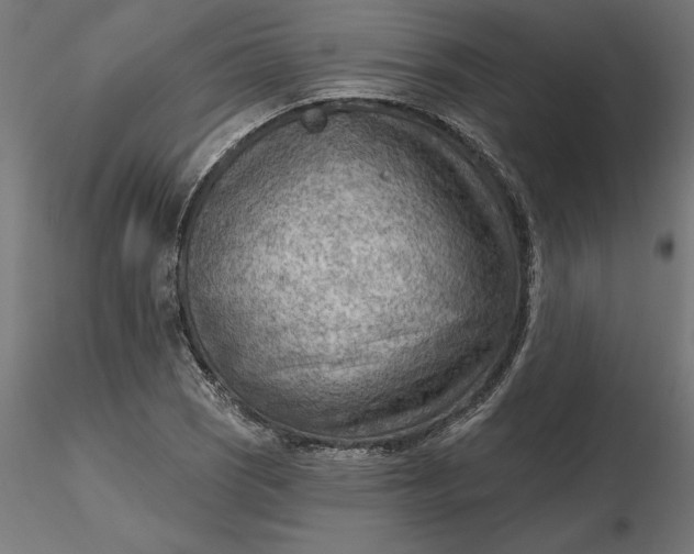 X0000116651121200912291610