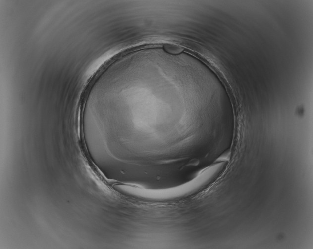 X0000116651127200912291610