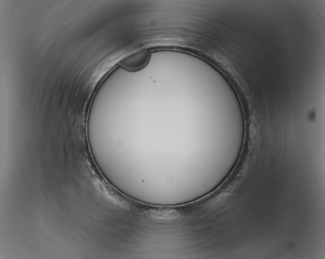 X0000116651129200912291610