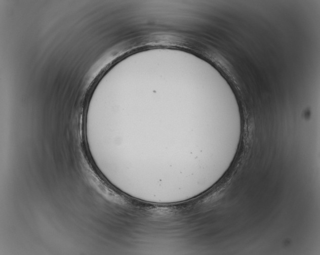 X0000116651130200912291610