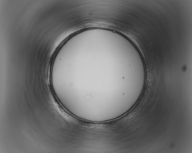 X0000116651131200912291610