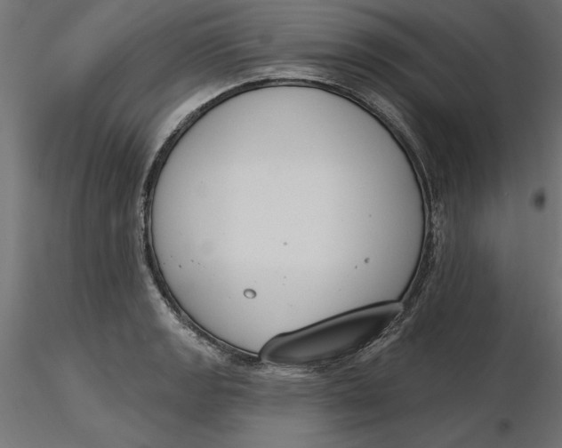 X0000116651133200912291610