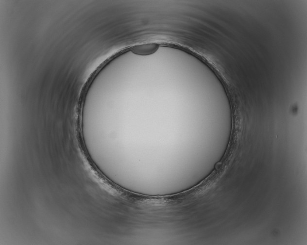 X0000116651134200912291610