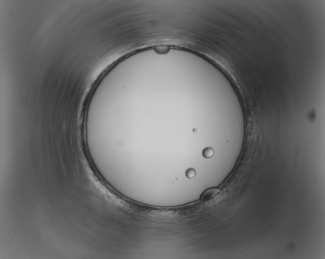 X0000116651135200912291611