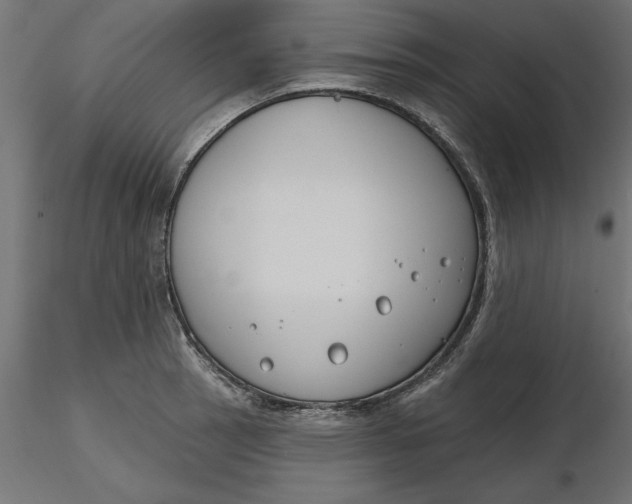 X0000116651137200912291611