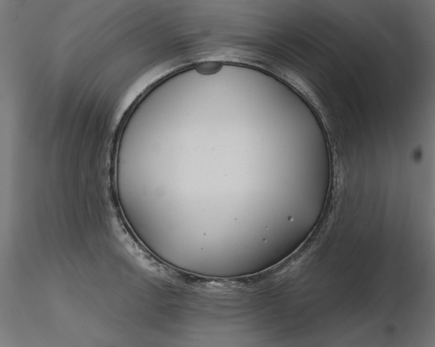 X0000116651138200912291611