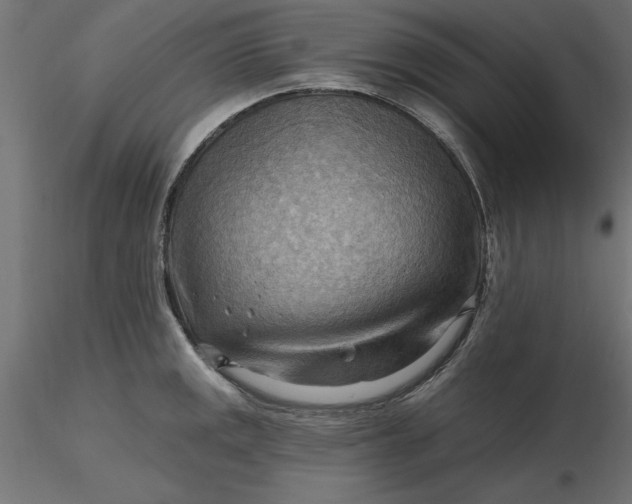 X0000116651141200912291611