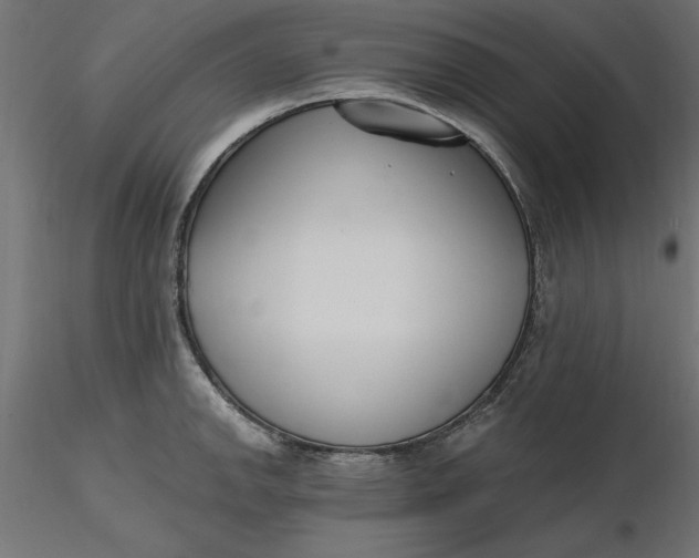 X0000116651142200912291611