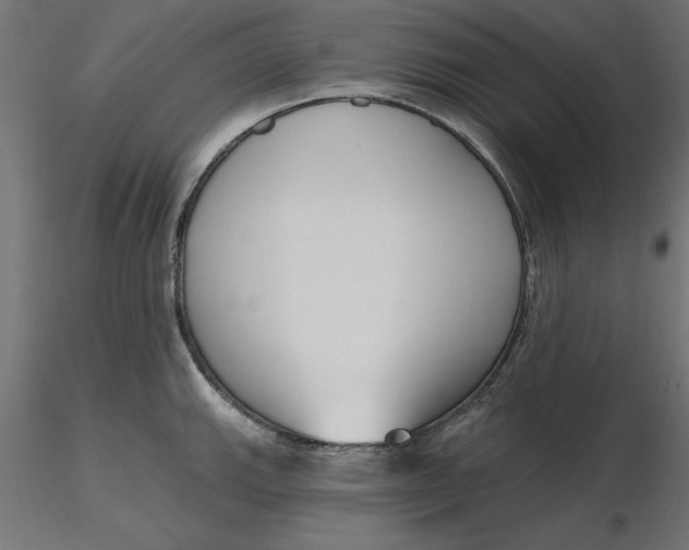 X0000116651143200912291611