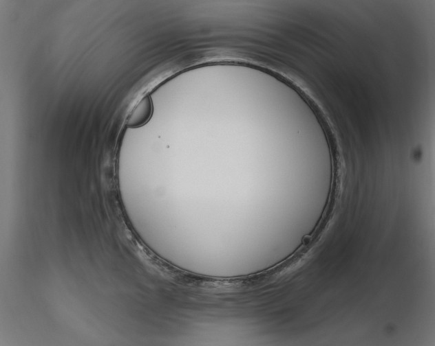 X0000116651145200912291611