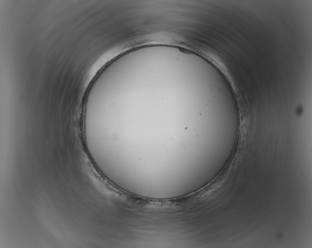 X0000116651146200912291611