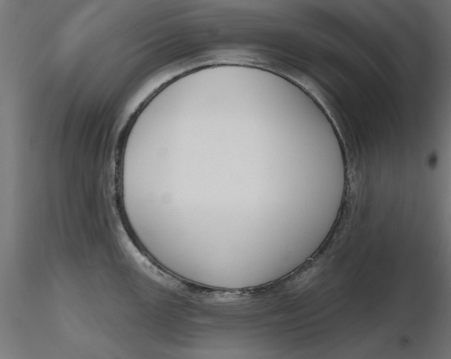 X0000116651147200912291611