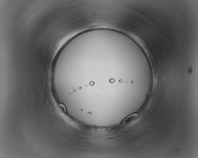 X0000116651149200912291611