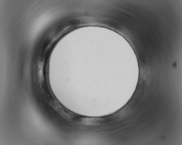 X0000116651150200912291611