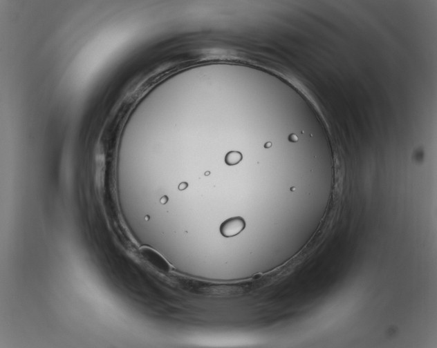 X0000116651151200912291611