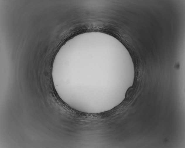 X0000116651153200912291610