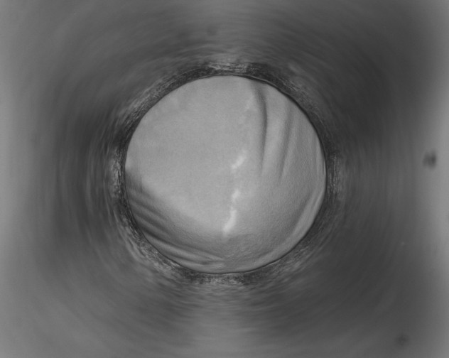 X0000116651154200912291610