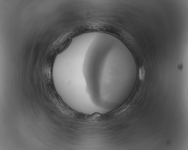 X0000116651155200912291610