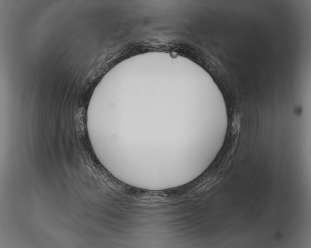 X0000116651156200912291610