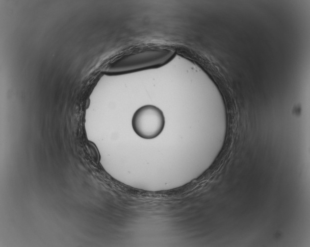 X0000116651157200912291610