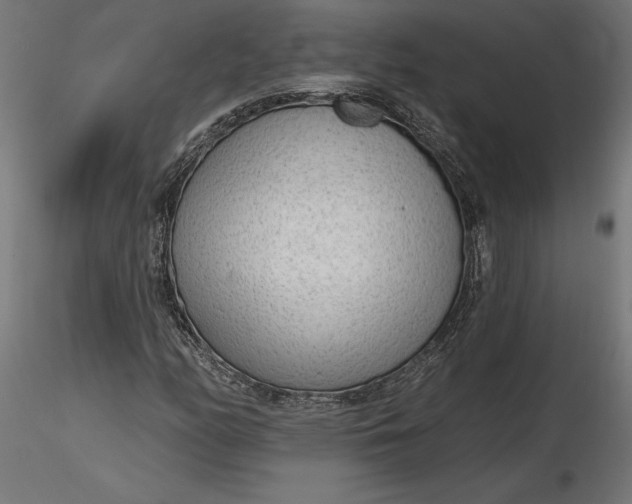 X0000116651158200912291610