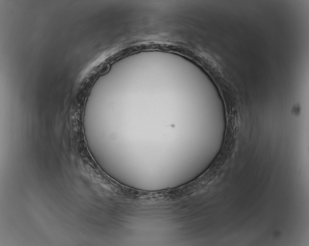 X0000116651159200912291610