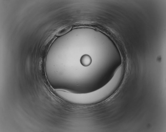 X0000116651161200912291610