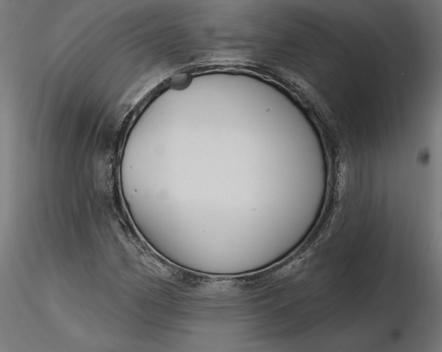 X0000116651162200912291610