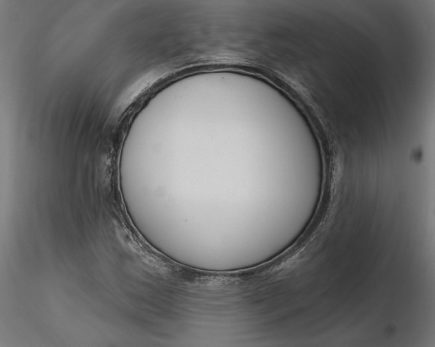 X0000116651163200912291610