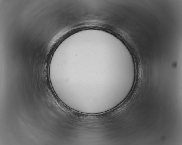 X0000116651164200912291610