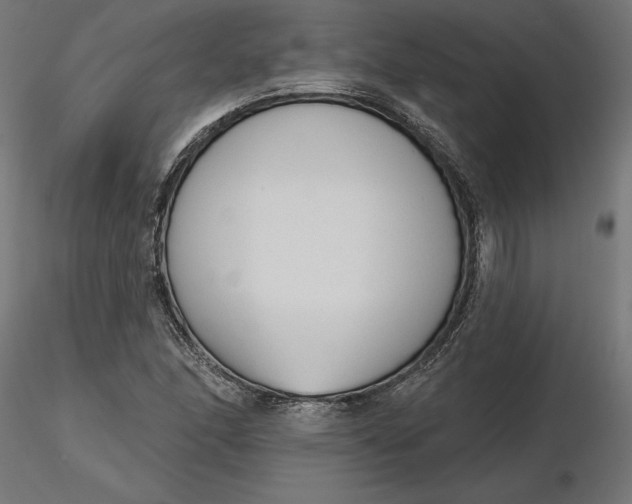 X0000116651166200912291610