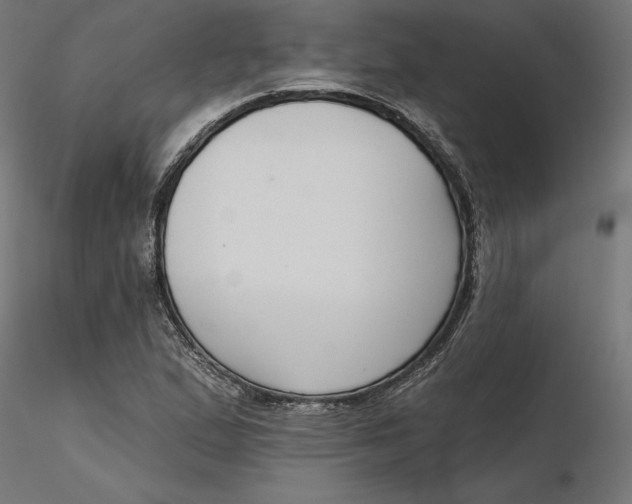 X0000116651167200912291610