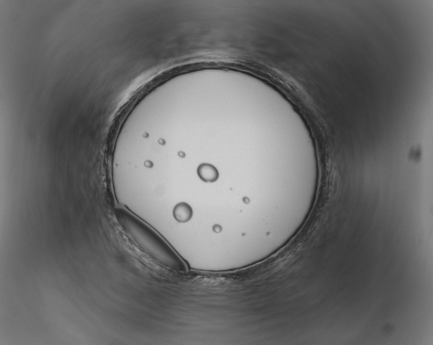 X0000116651168200912291610