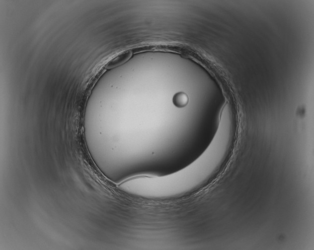 X0000116651169200912291610