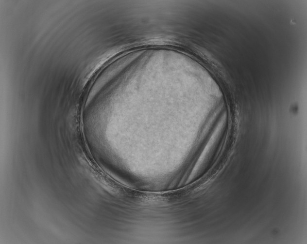 X0000116651170200912291610