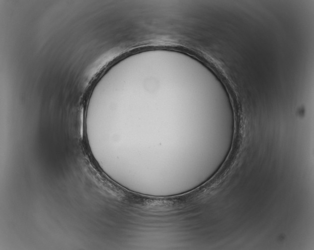 X0000116651171200912291610