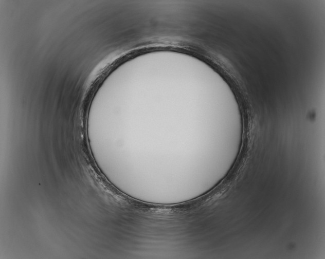 X0000116651172200912291610