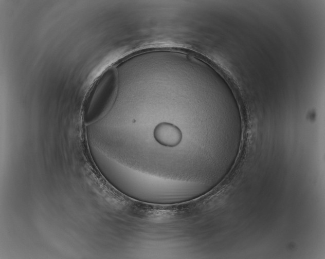 X0000116651173200912291610