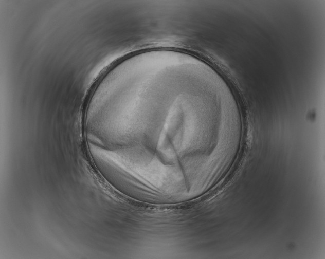 X0000116651174200912291610