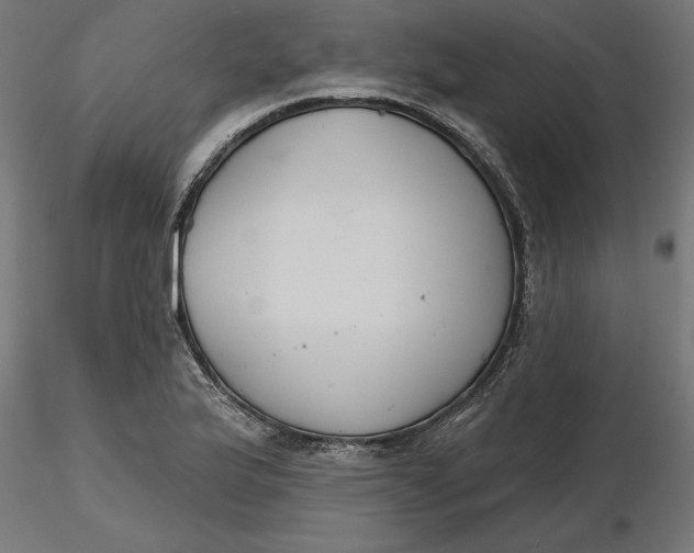 X0000116651175200912291610