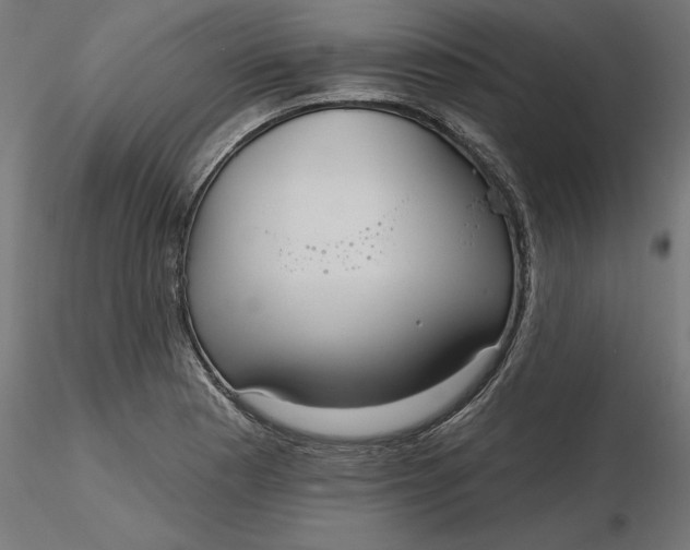 X0000116651177200912291610