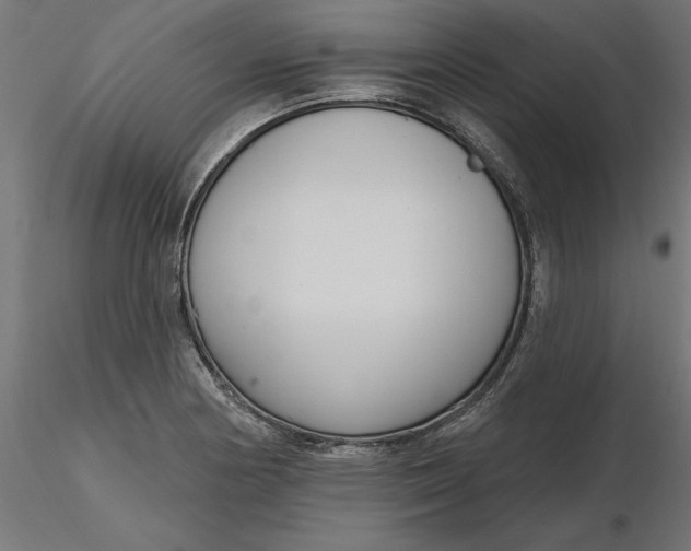 X0000116651178200912291610