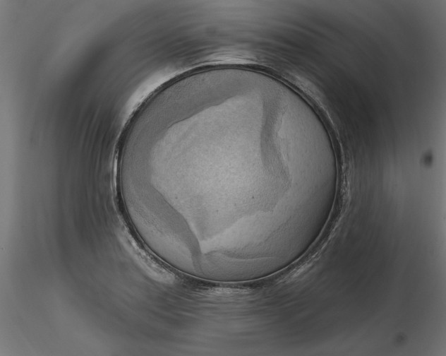 X0000116651179200912291610