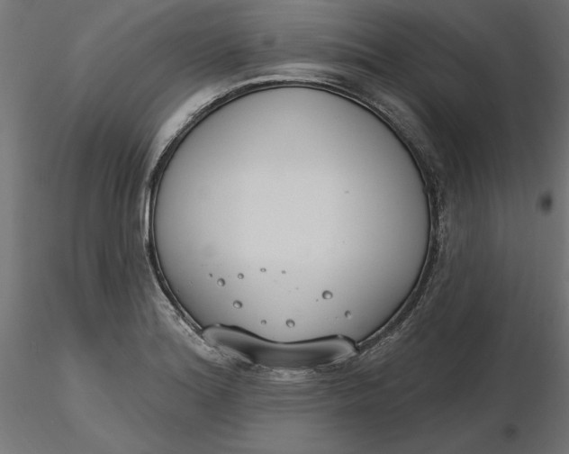 X0000116651180200912291610