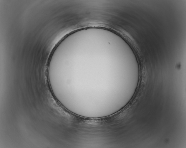 X0000116651182200912291610