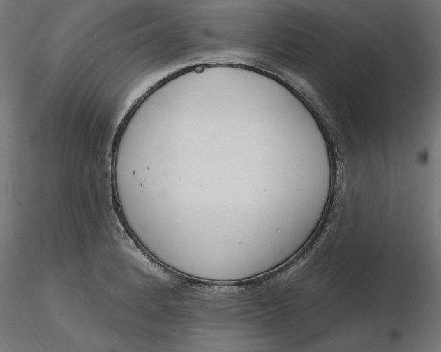 X0000116651184200912291610